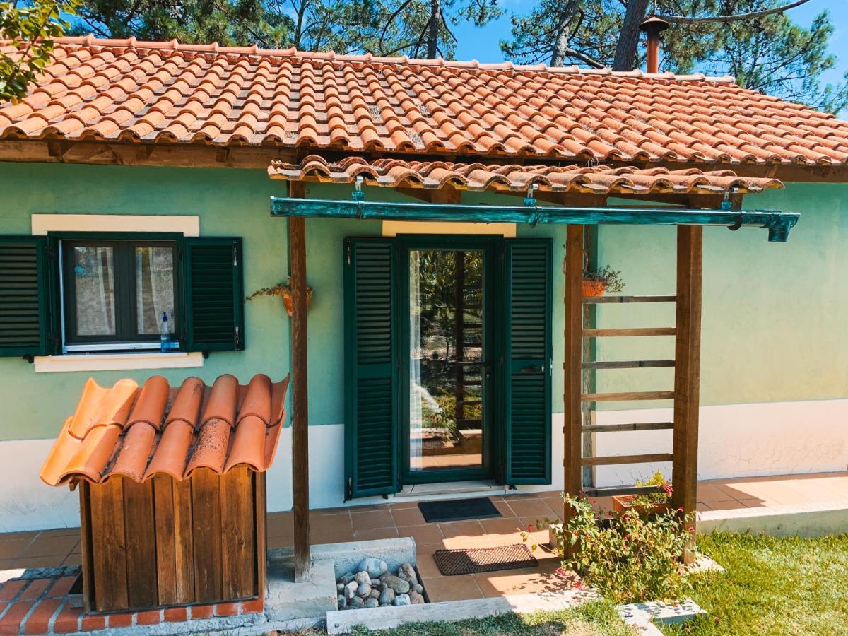 Ecobosque Villa Nadadouro Екстериор снимка