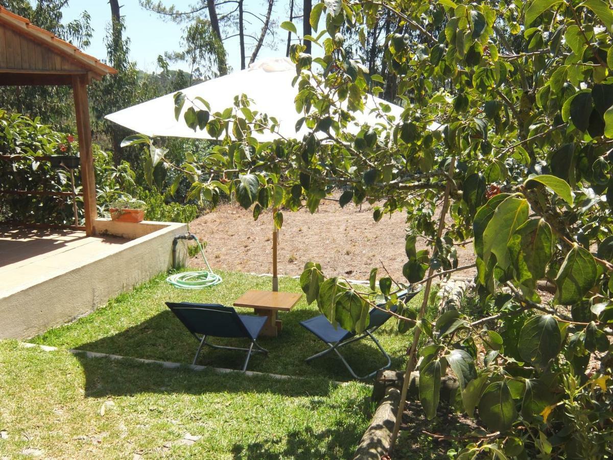 Ecobosque Villa Nadadouro Екстериор снимка